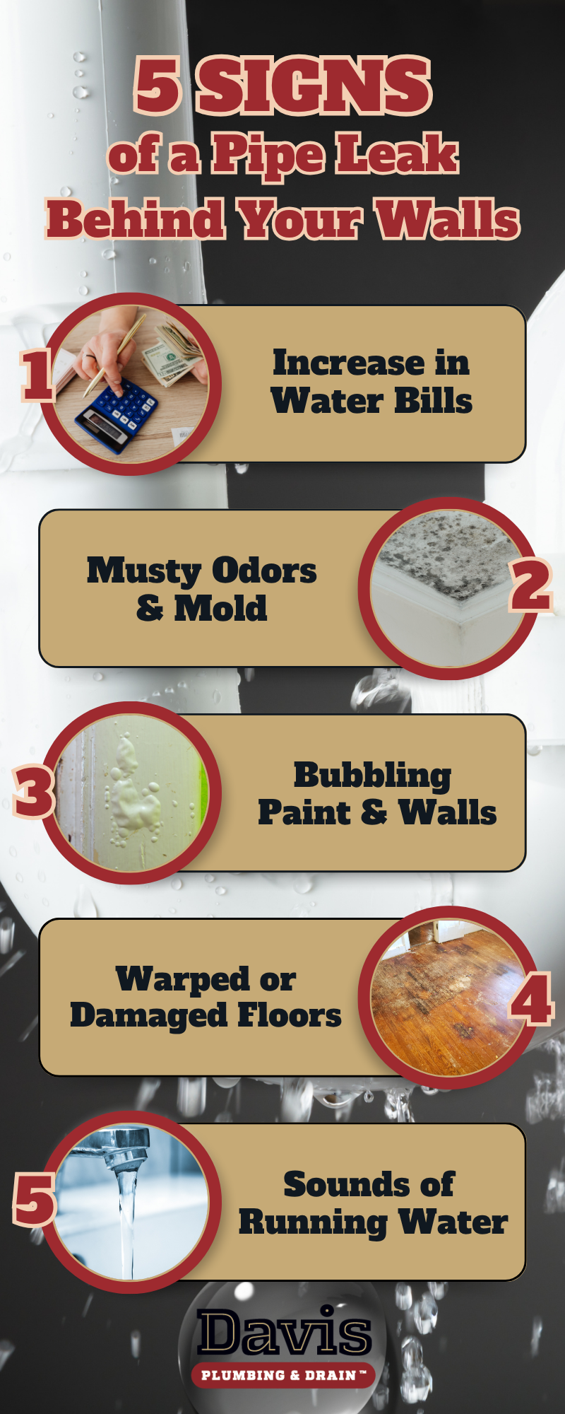 an infographic showing 5 signs of a hidden pipe leak behind the walls